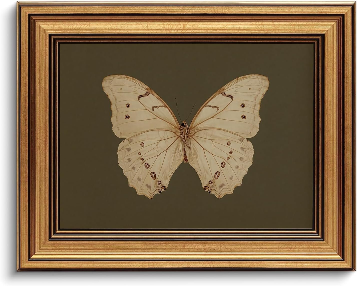 Gold Framed Wall Art Vintage Butterfly Canvas Wall Art White Butterfly Moody Insect Artwork Prints Picture for Living Room Bedroom Farmhouse Bathroom Office Decor, 8×10