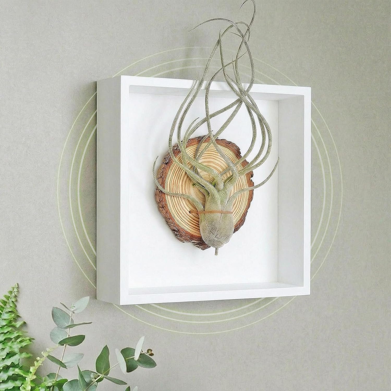arscent, Bathroom Wall Art, 3D Framed Botanical Wall Decor with Air Plant & Pre-scented Stone, Artificial Succulent Wall Hanging for Small Space, Entryway Bedroom, Mossy Melody, Caput-Medusae